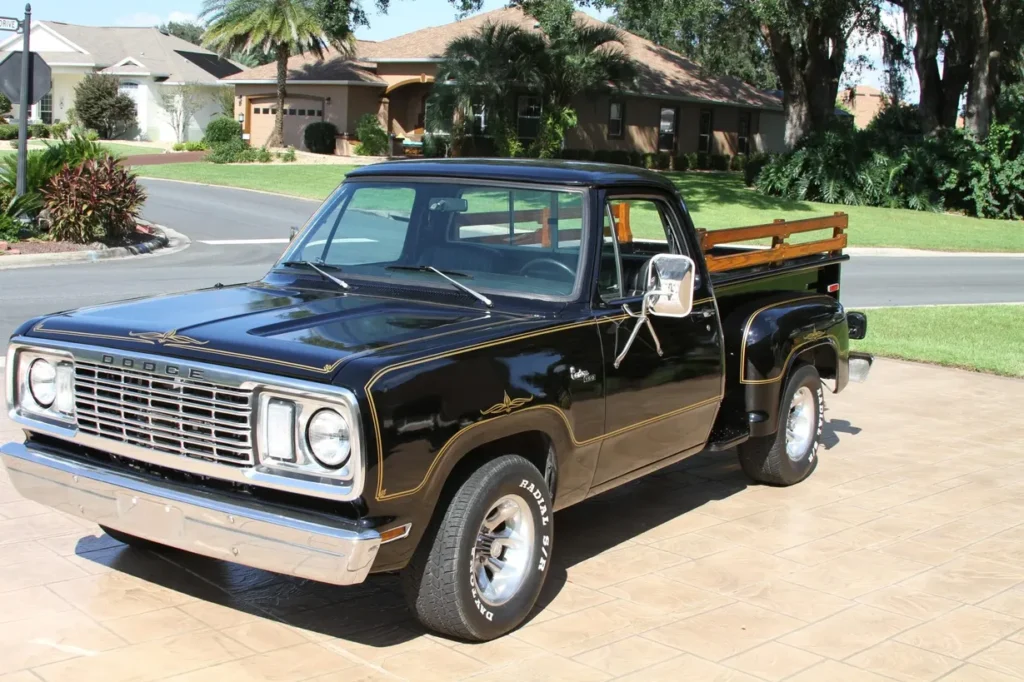 1978 Dodge D150 Warlock