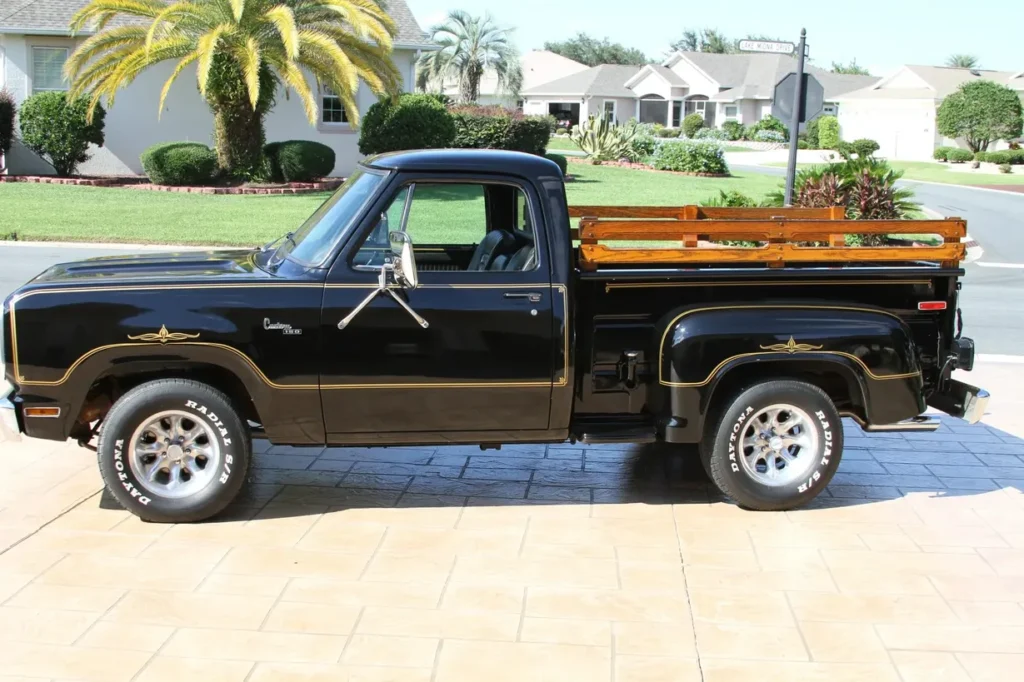1978 Dodge D150 Warlock